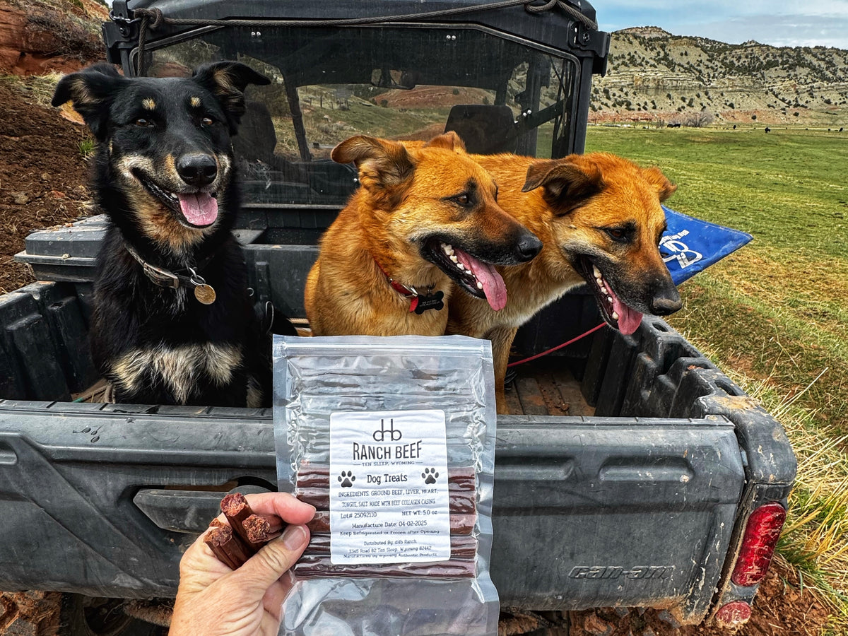 NEW dHb Ranch Dog Treats