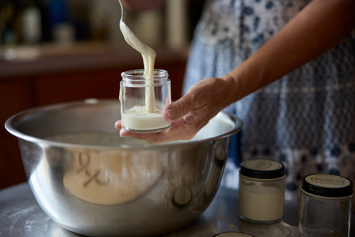 Hampton Sourdough 1926 Starter