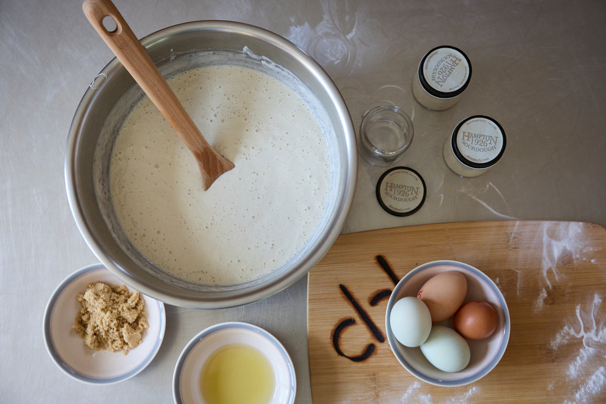 Hampton Sourdough 1926 Starter