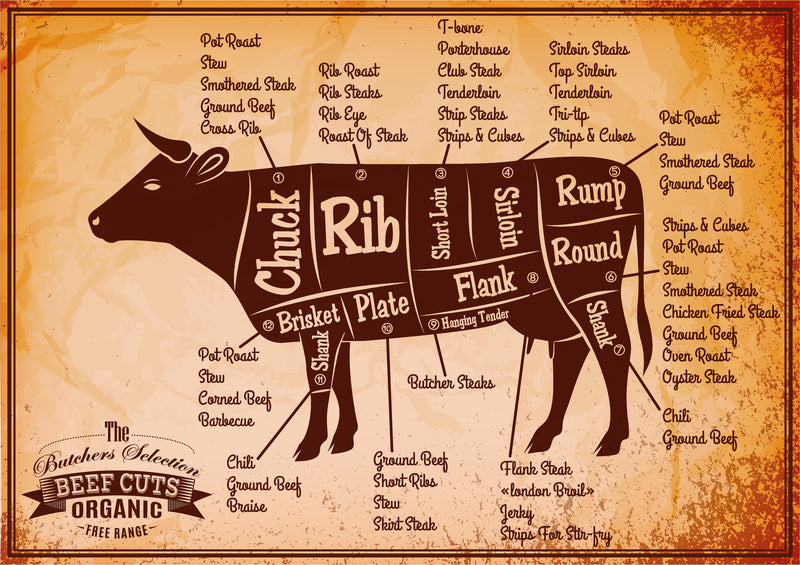 T-Bone vs Porterhouse steak meats infographic size chart